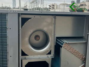 lap-dat-may-lanh-cong-nghiep-binh-duong